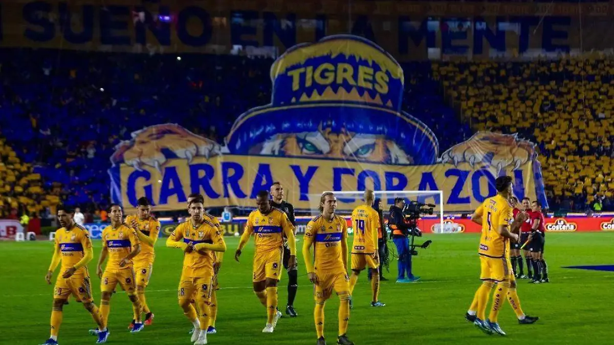 Tigres (4)